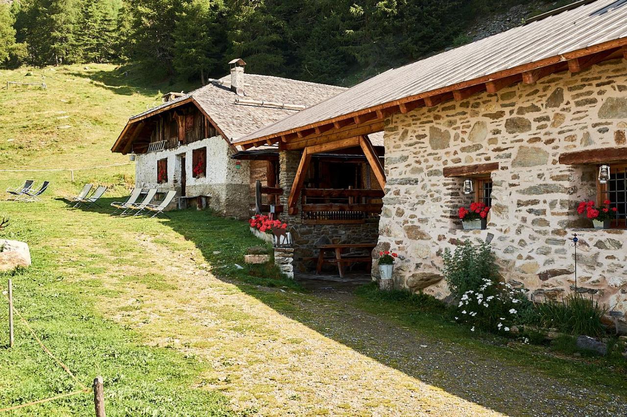 Villa Nestalp Malga Campo Peio Exterior foto