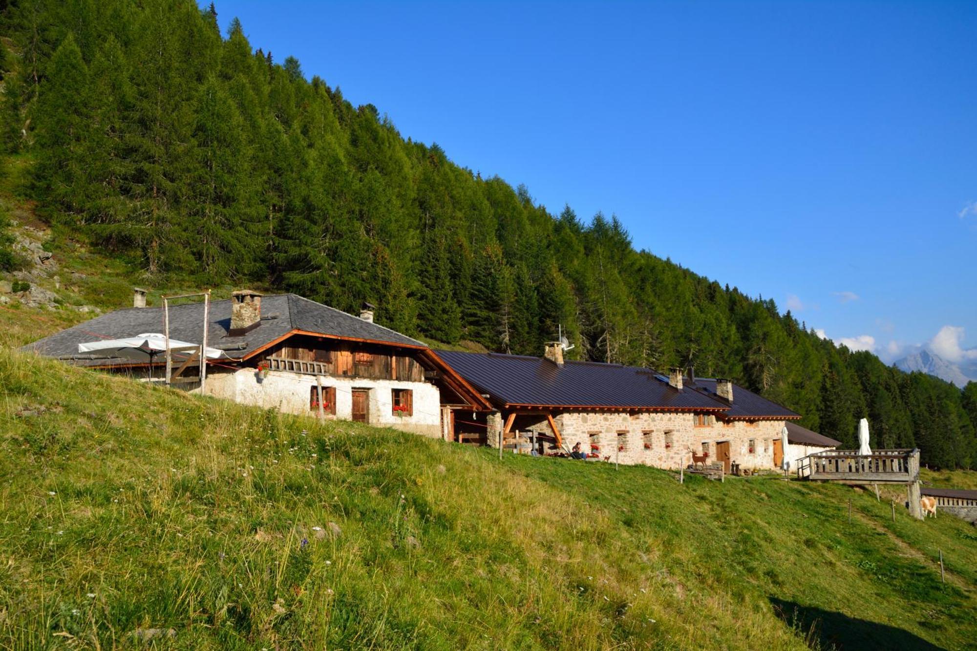 Villa Nestalp Malga Campo Peio Exterior foto
